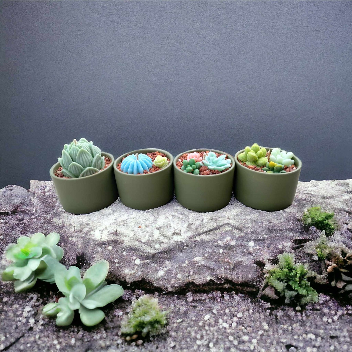 Plant Candles