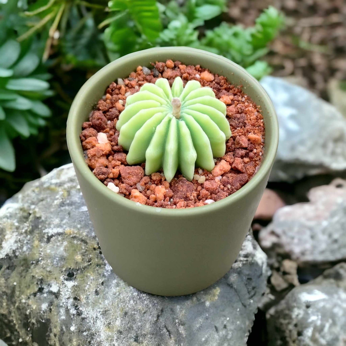 Plant Candles